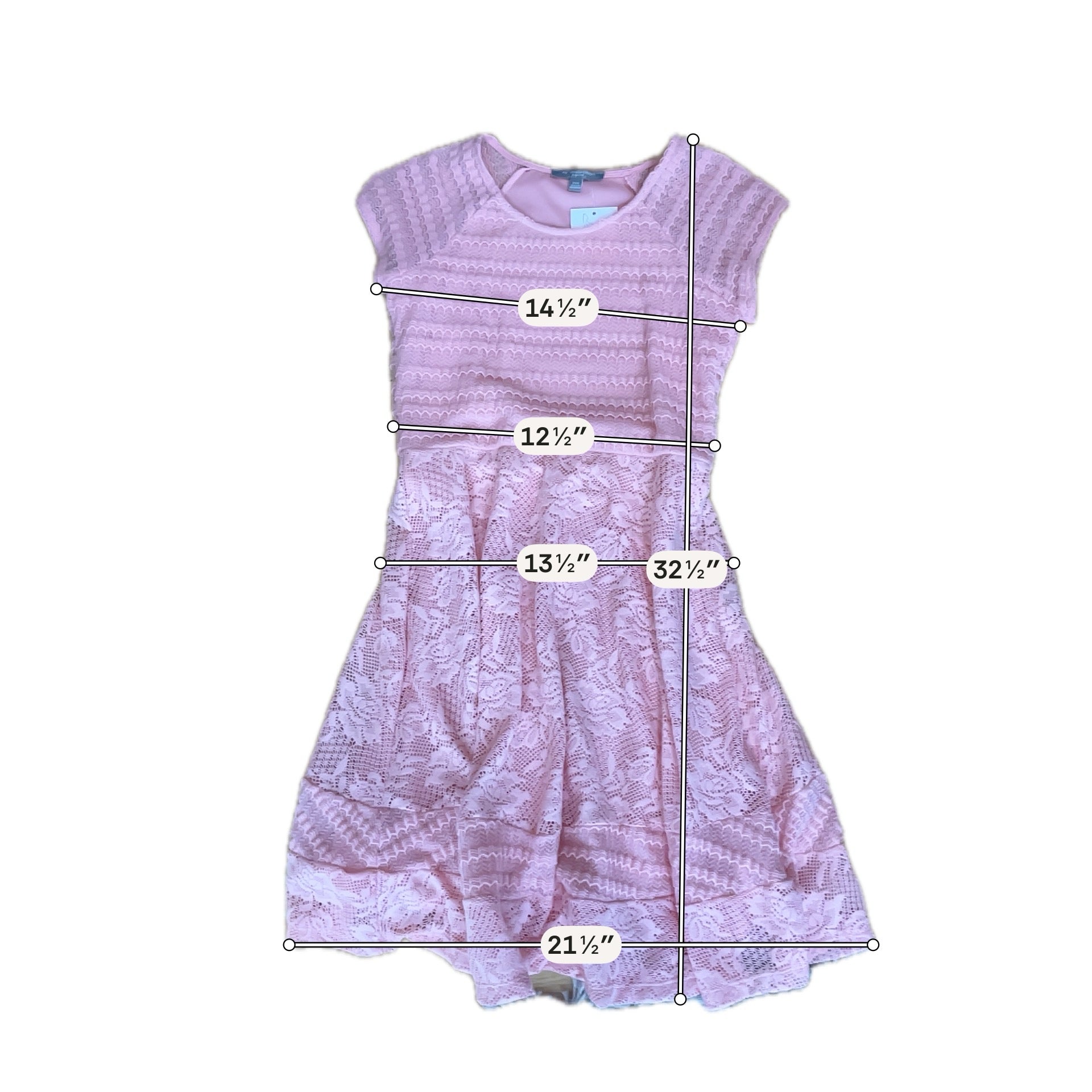 NY Collection Petite Lace Fit & Flare Dress Blush Pink Size PXS