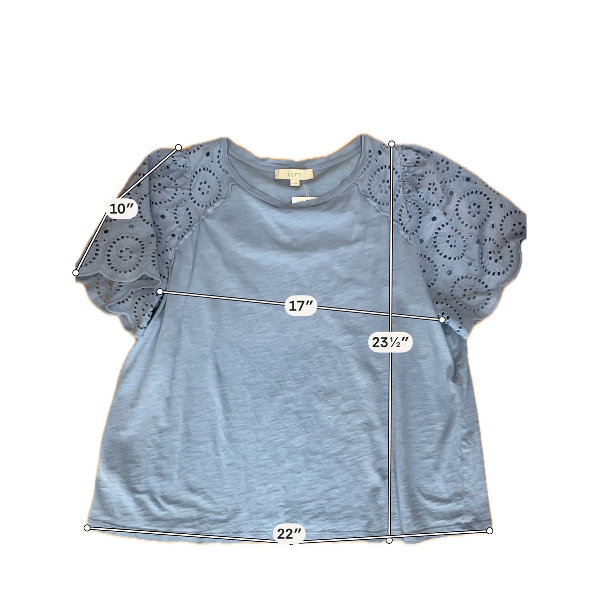 LOFT Blue Eyelet Flutter Sleeve Cotton Top | Size XL - ONLINE ONLY