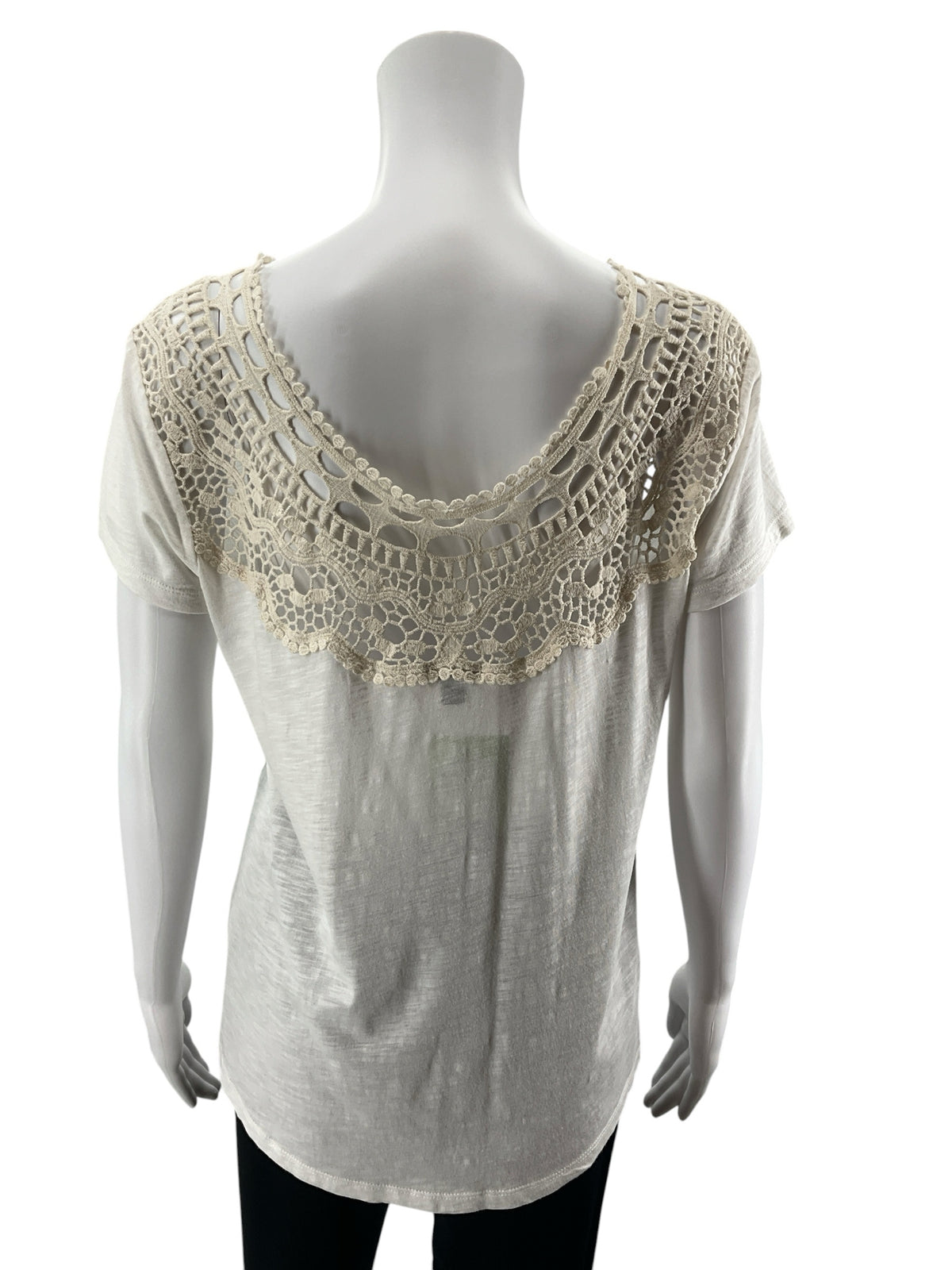 Ann Taylor Women&