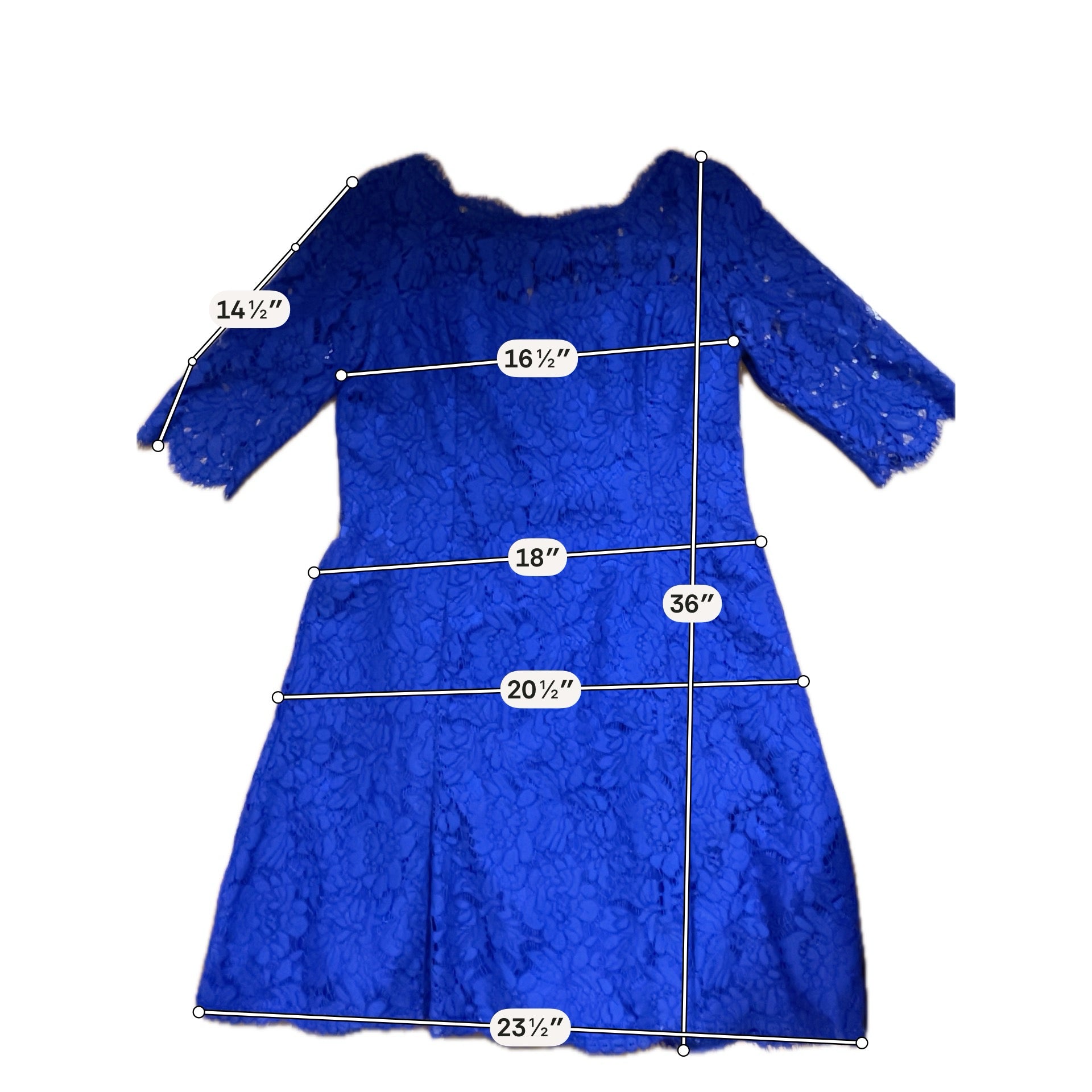 Eliza J Royal Blue Lace Cocktail Dress 3/4 Sleeve Size 14