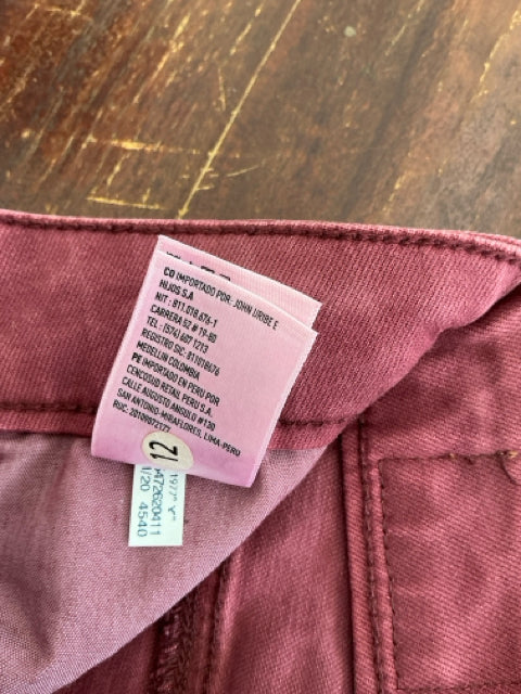 American Eagle Maroon High-Waisted Skinny Pants | Size 4 - ONLINE ONLY