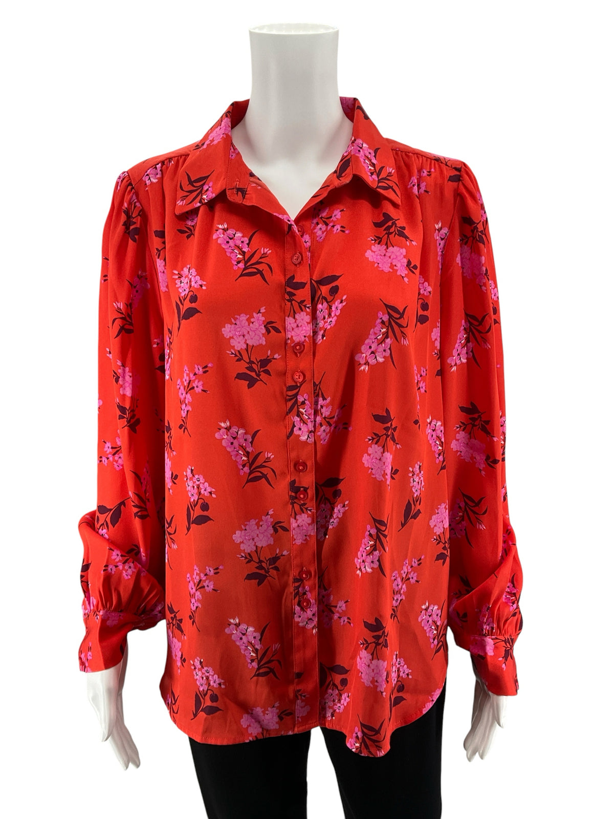 Ann Taylor Women&