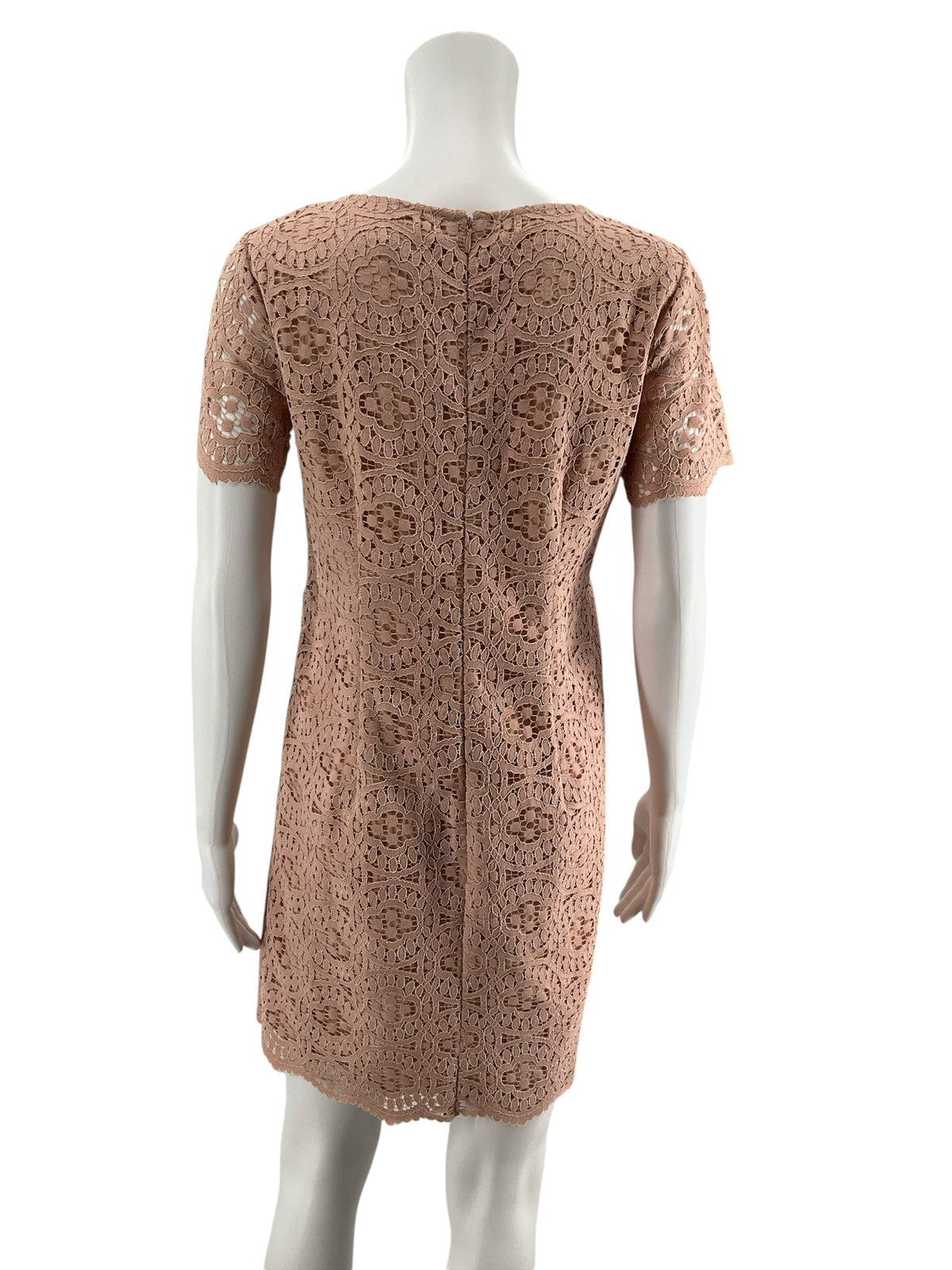 Ann Taylor Apricot Pink Lace Shift Dress Size 0 - ONLINE ONLY