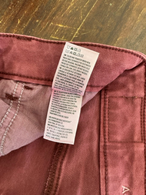 American Eagle Maroon High-Waisted Skinny Pants | Size 4 - ONLINE ONLY
