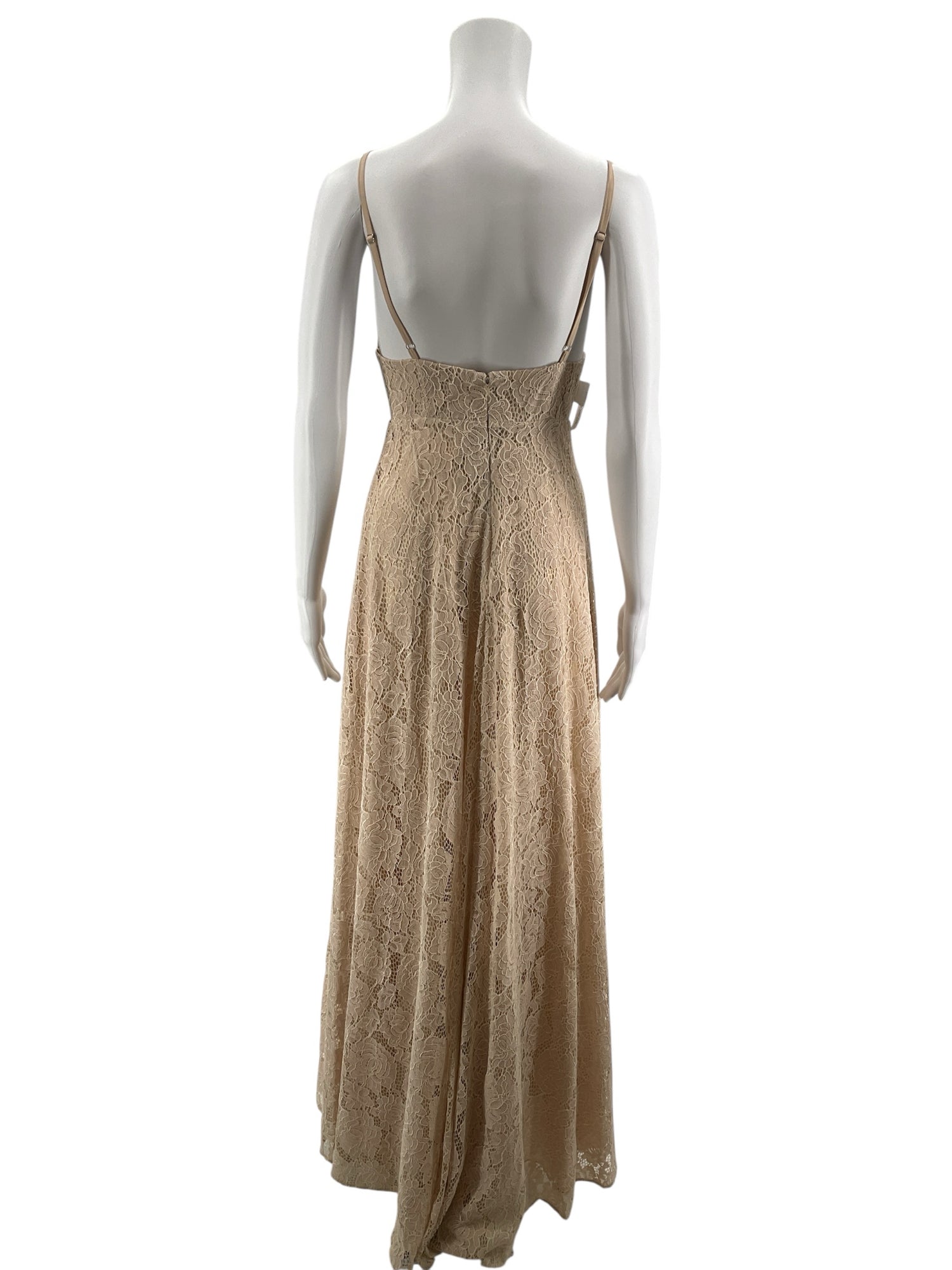 Fame and Partners x Anthropologie Nude Floral Lace Maxi Dress Gown | Size 2 NWT