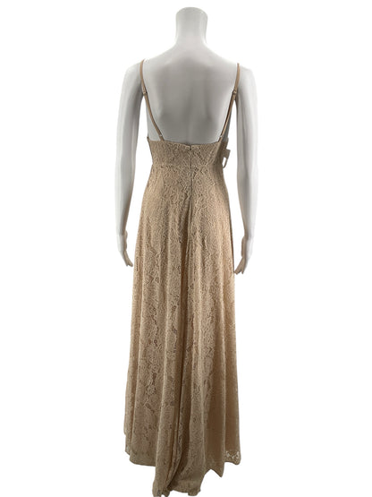 Fame and Partners x Anthropologie Nude Floral Lace Maxi Dress Gown | Size 2 NWT