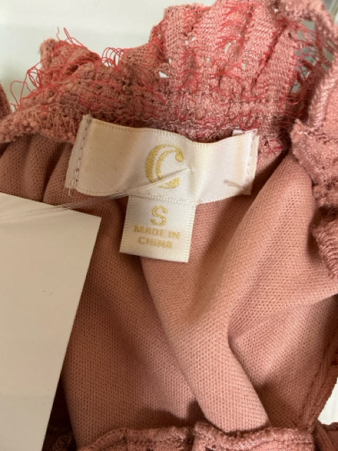 Brand label inside C. Wonder mauve lace dress showing size small and made in China, confirming authenticity and sizing.