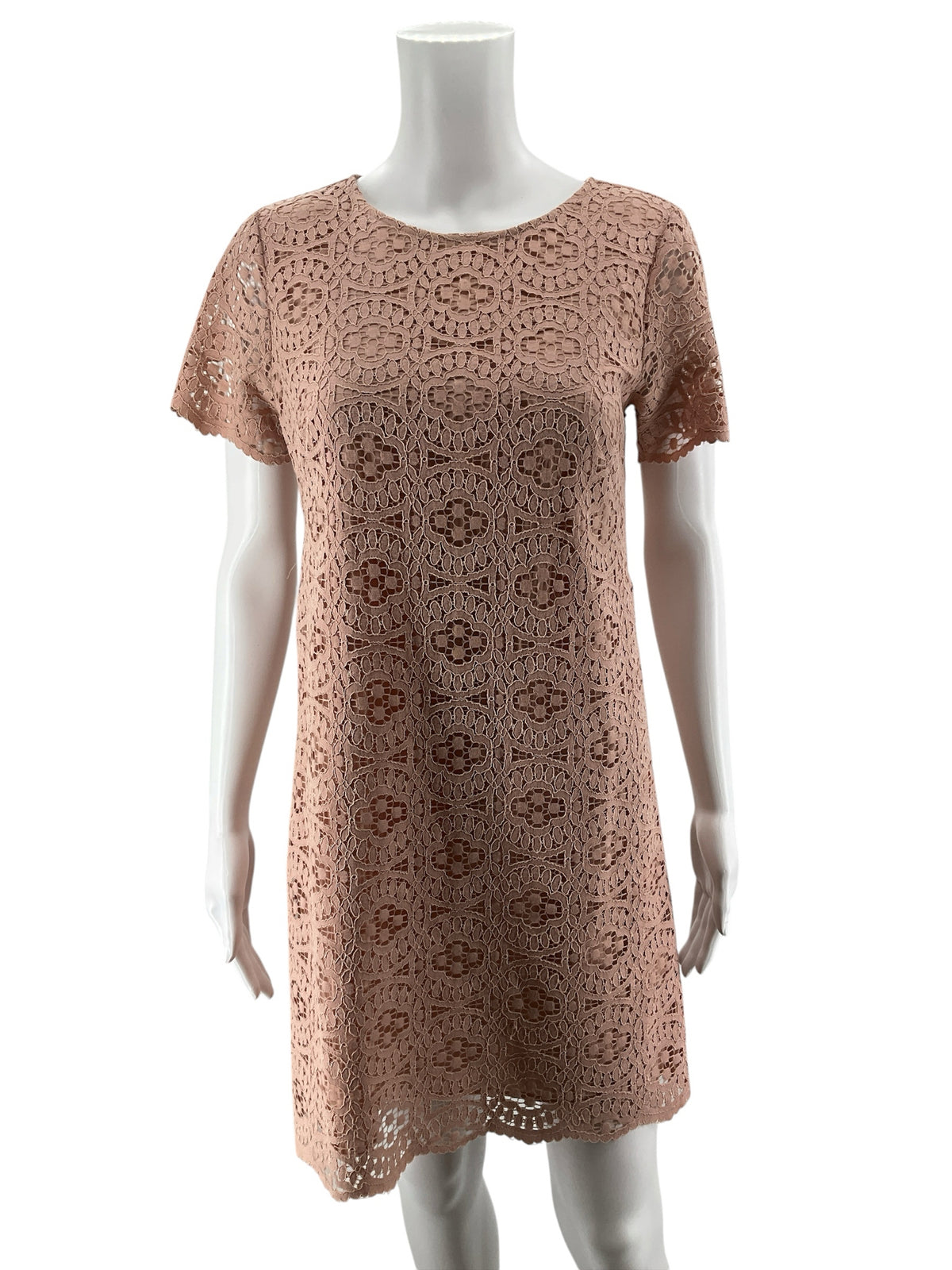 Ann Taylor Apricot Pink Lace Shift Dress Size 0 - ONLINE ONLY