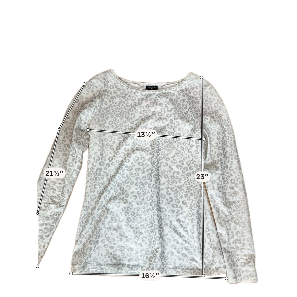 Ann Taylor Women&