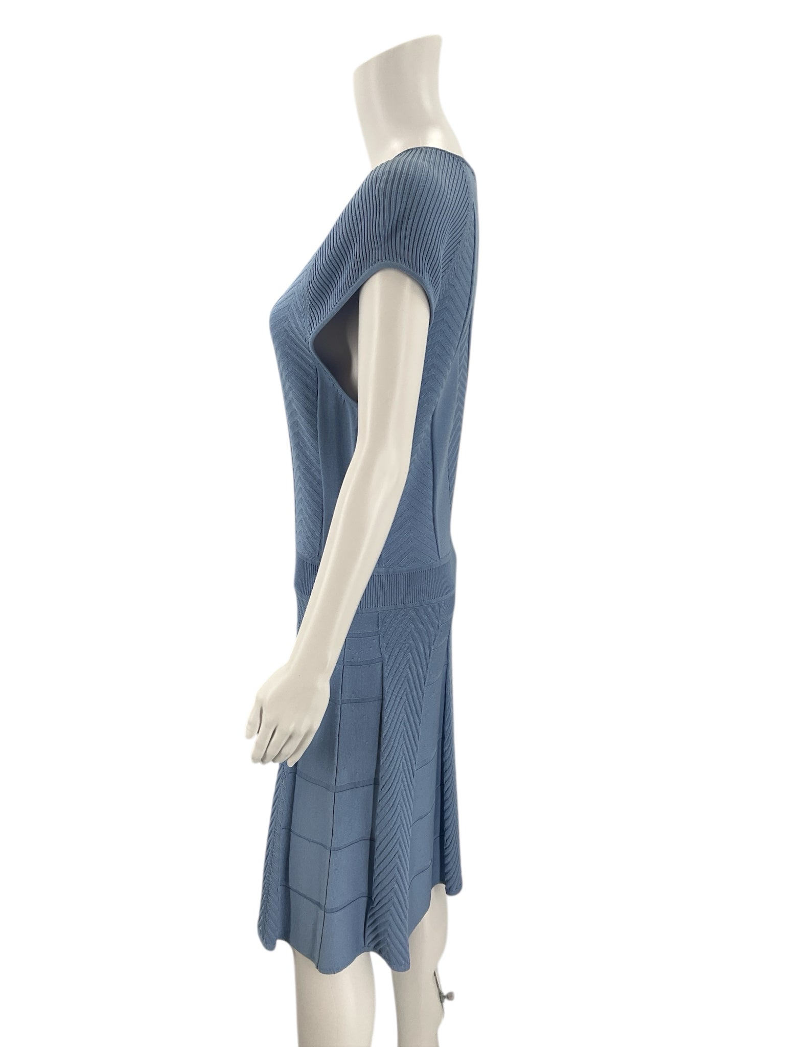 Side profile of Cynthia Steffe Blue Textured Dress - Size Large highlighting cap sleeves and structured fit, gently used and versatile.