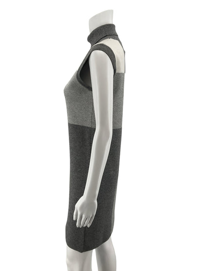 Lysse Laura Colorblock Sleeveless Turtleneck Dress Gray XS
