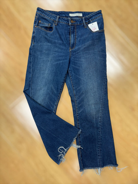 Pilcro & Letterpress Size 10 Blue Solid Jeans