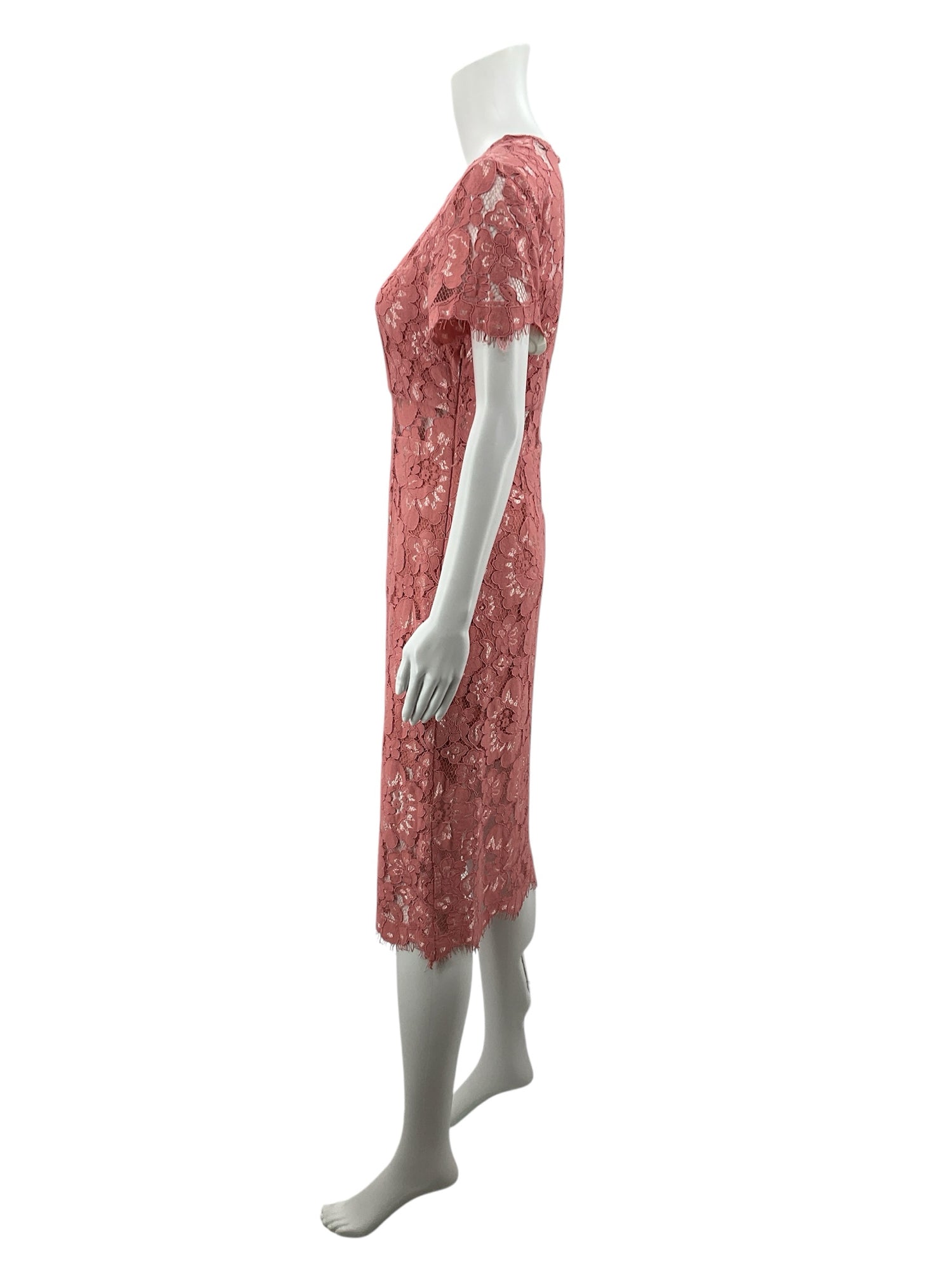 NSR Coral Rose Floral Lace Sheath Dress Size Small