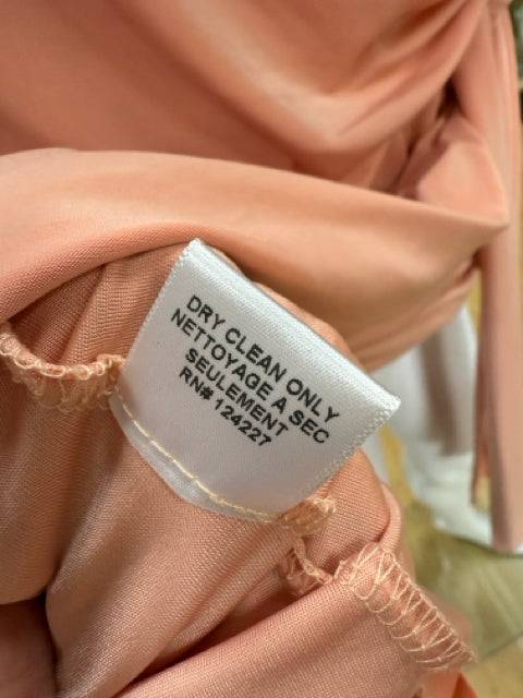 Care label showing dry clean only instructions on the MISA Mini Dress Size Medium in peach, available at Margaret’s Fine Consignments.