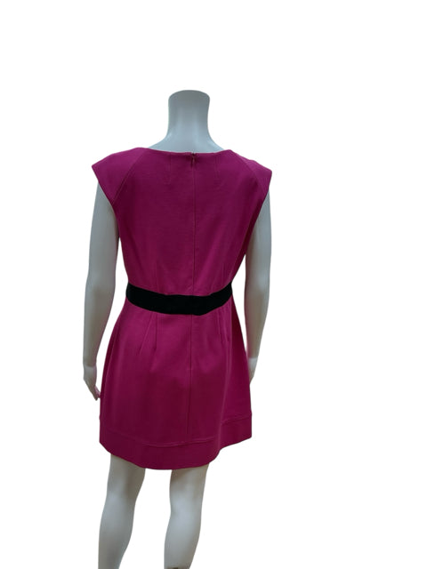 Back view of Chequer Pink/Black Pre-Owned Ladies Dress - Size 10 on mannequin, highlighting the black waistband and rear zip closure.