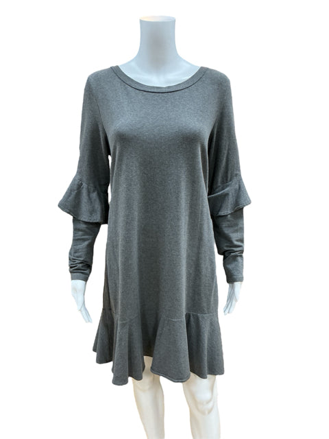 Kaari Blue Size M Gray Heathered Dress