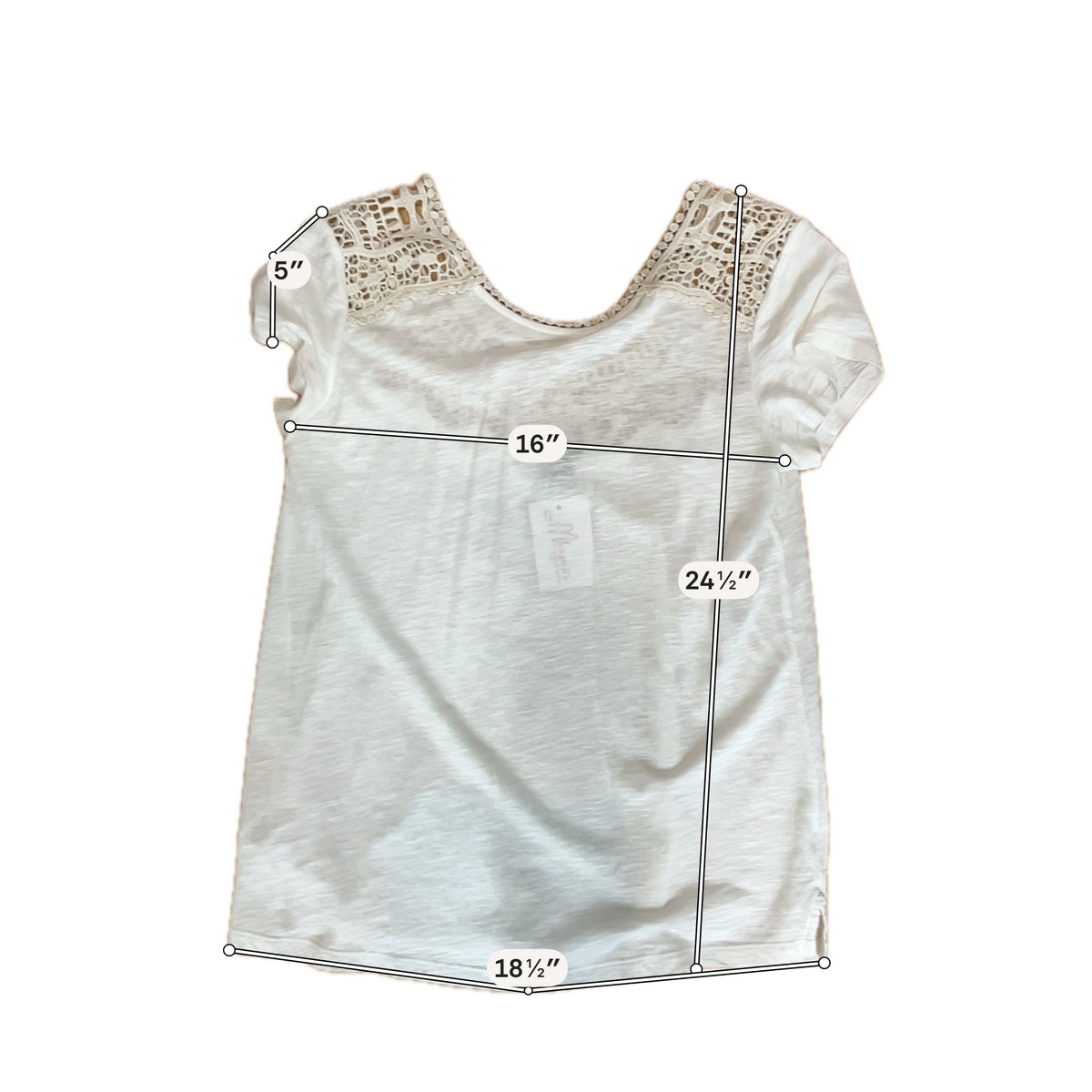 Ann Taylor Women&
