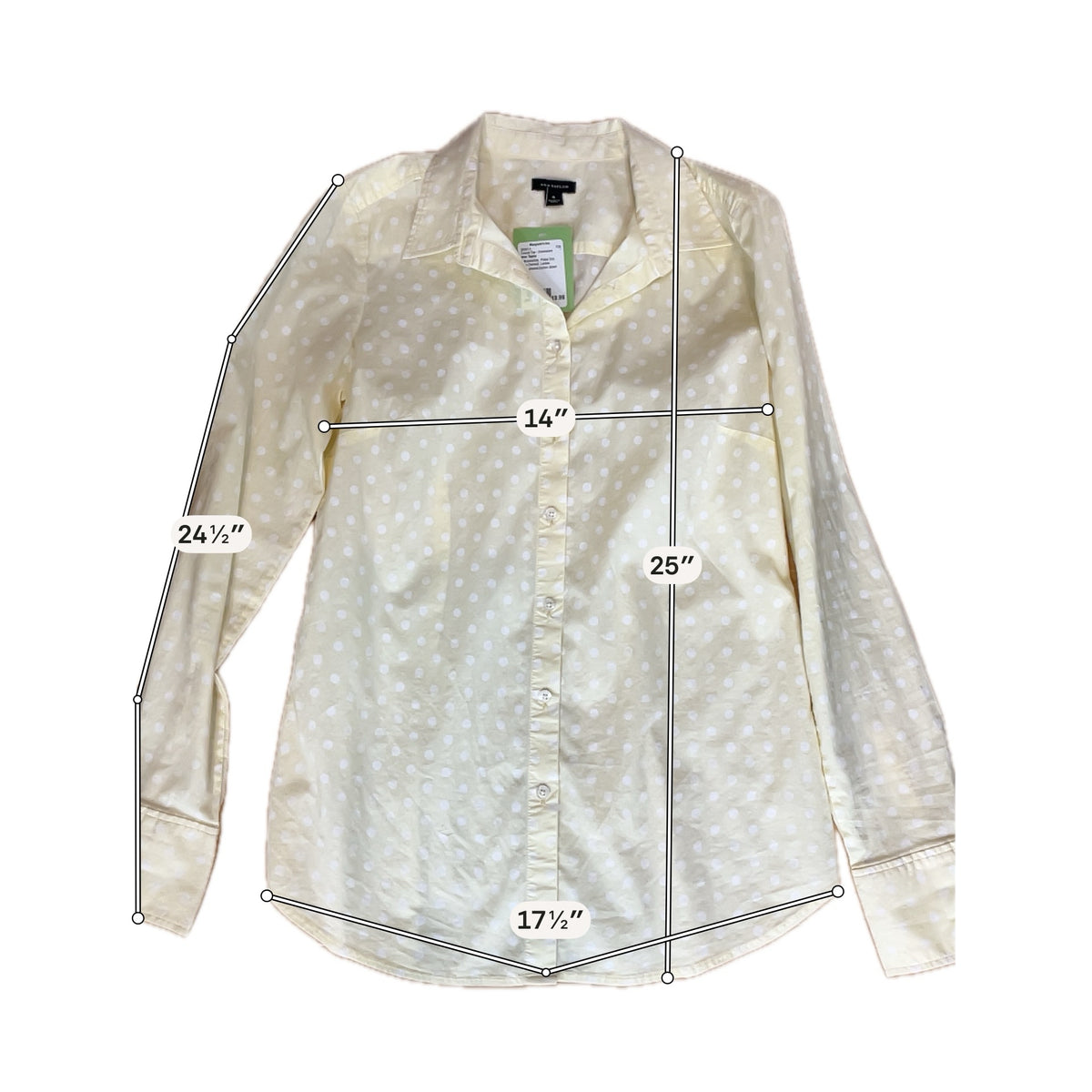 Ann Taylor Women&