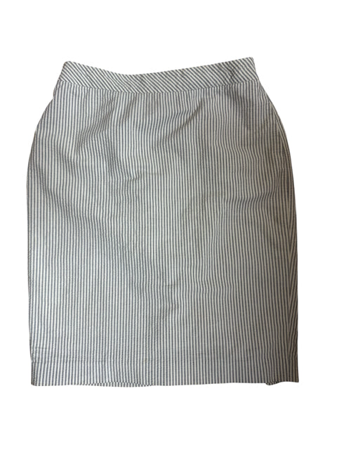 Ann Taylor tan/blue Skirt Size 2 tan/blue Stripe Pre-Owned Ladies Skirt - Size 2