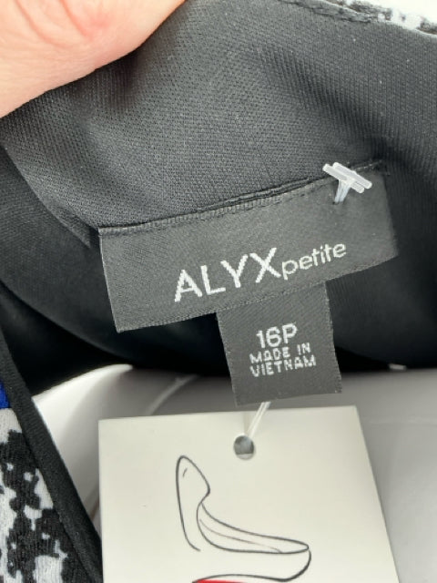 Alyx Dress Size 16P