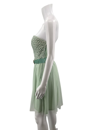 Mystic sage Mini Sage Green Strapless Tulle Dress Embroidered Bodice Medium - Size M