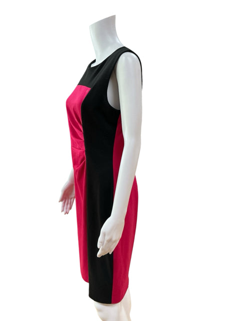 Calvin Klein Colorblock Sheath Dress Fuchsia &amp; Black Size 8