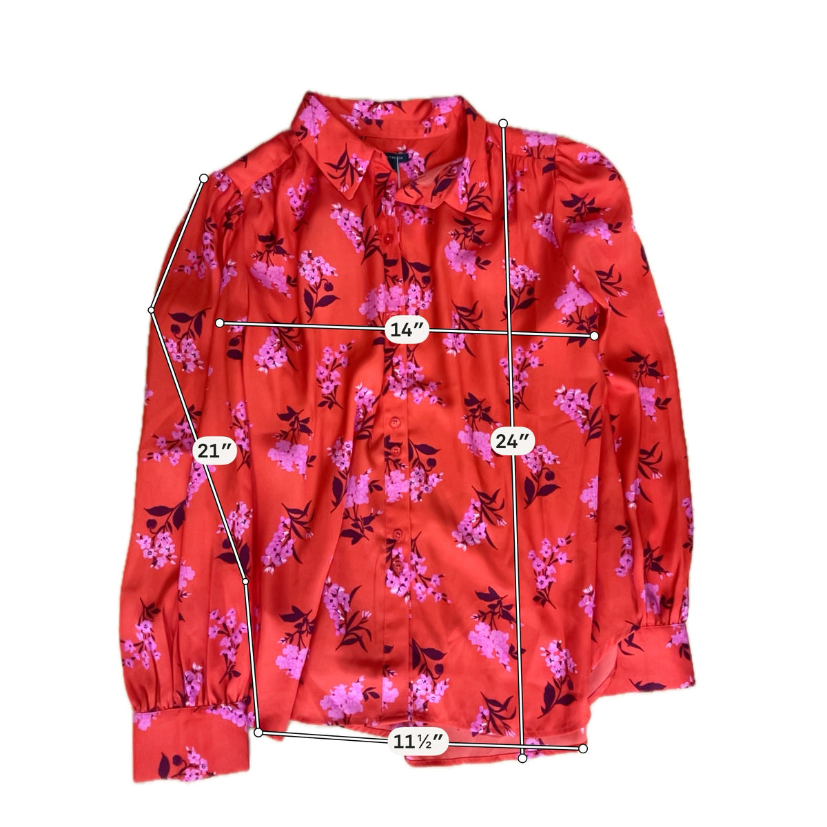 Ann Taylor Women&