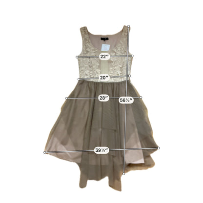 Ryu Taupe Embroidered Mesh Tiered Tulle Dress | Size Small