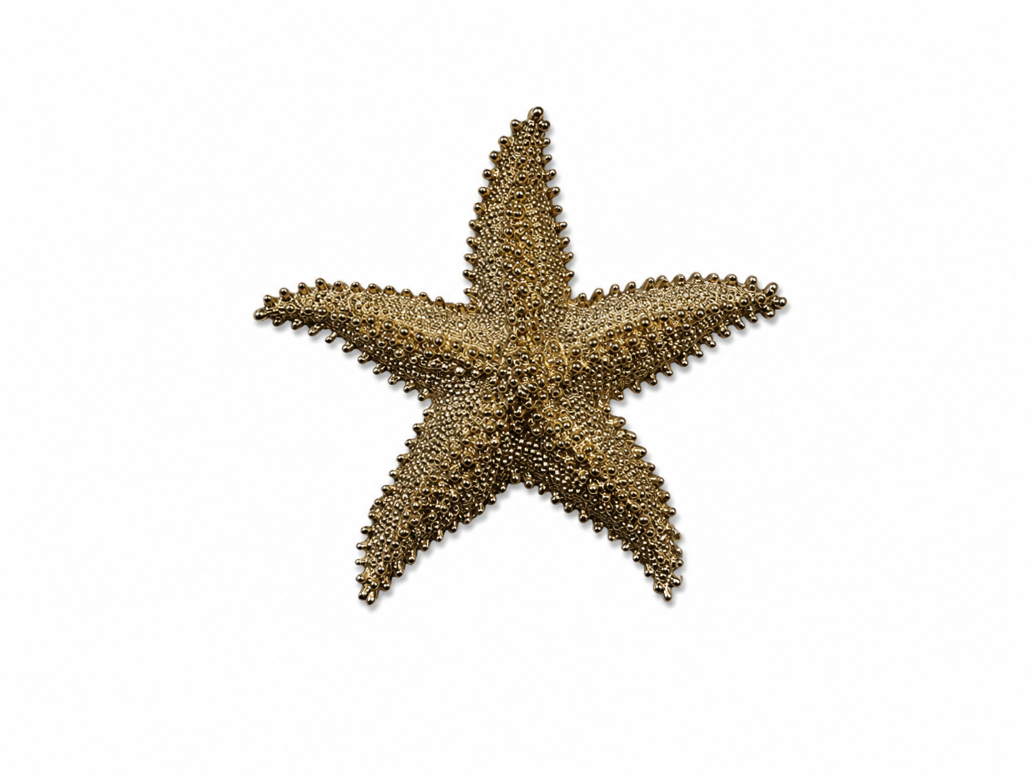 No Brand Gold starfish Brooch