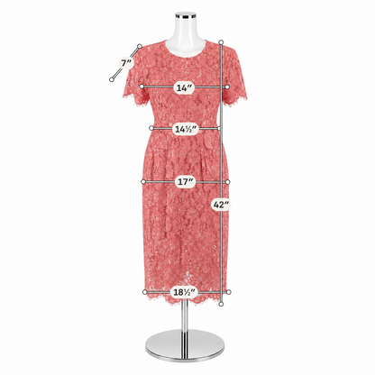 NSR Coral Rose Floral Lace Sheath Dress Size Small