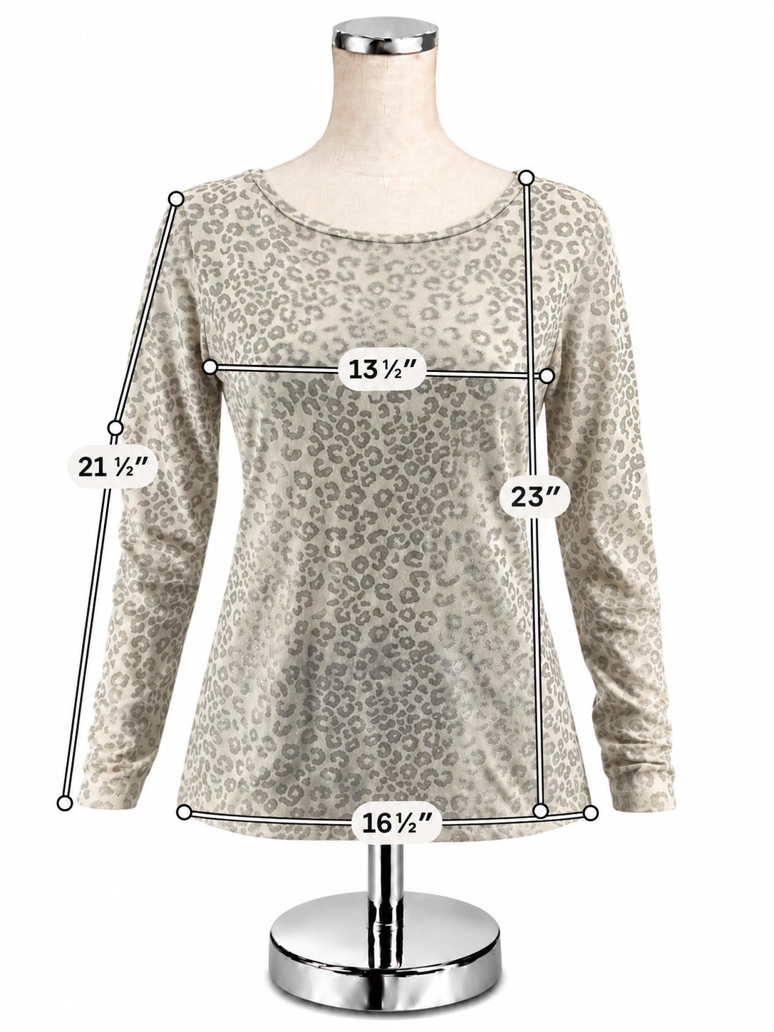 Ann Taylor Women&