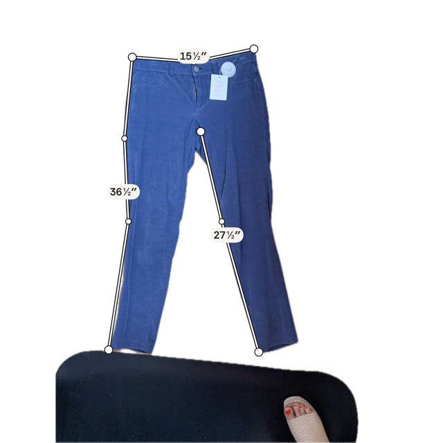 Pilcro Mid-Rise Skinny Ankle Corduroy Pants Navy Blue Size 4