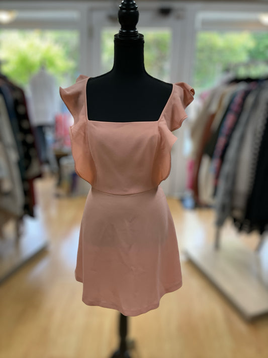 bcbg Size 8 Blush Solid Dress