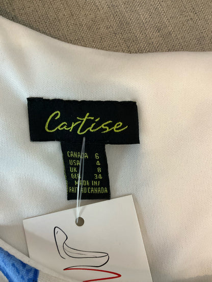 Cartise Floral &amp; Stripe 3/4 Sleeve Shift Dress Blue White Black Size 4