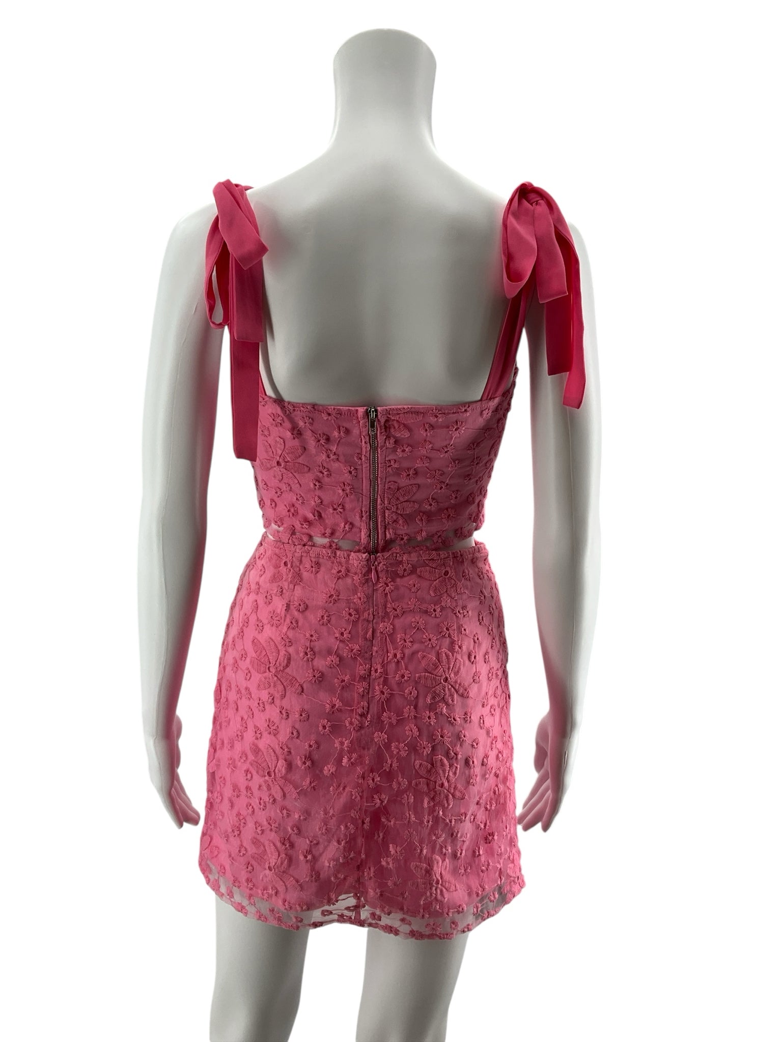 mi ami Pink Floral Embroidered Mesh Two-Piece Skirt Set | Size XS