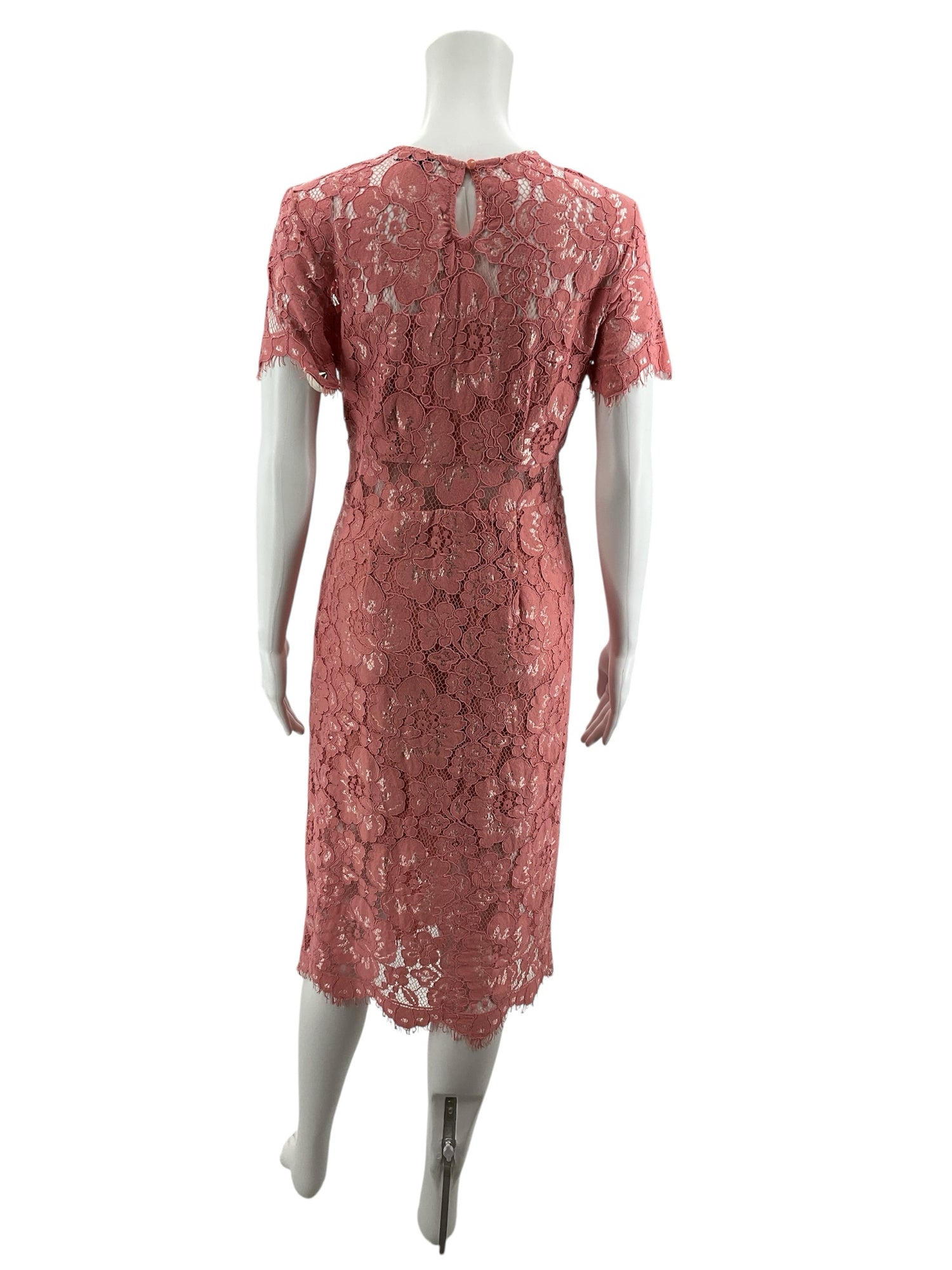 NSR Coral Rose Floral Lace Sheath Dress Size Small