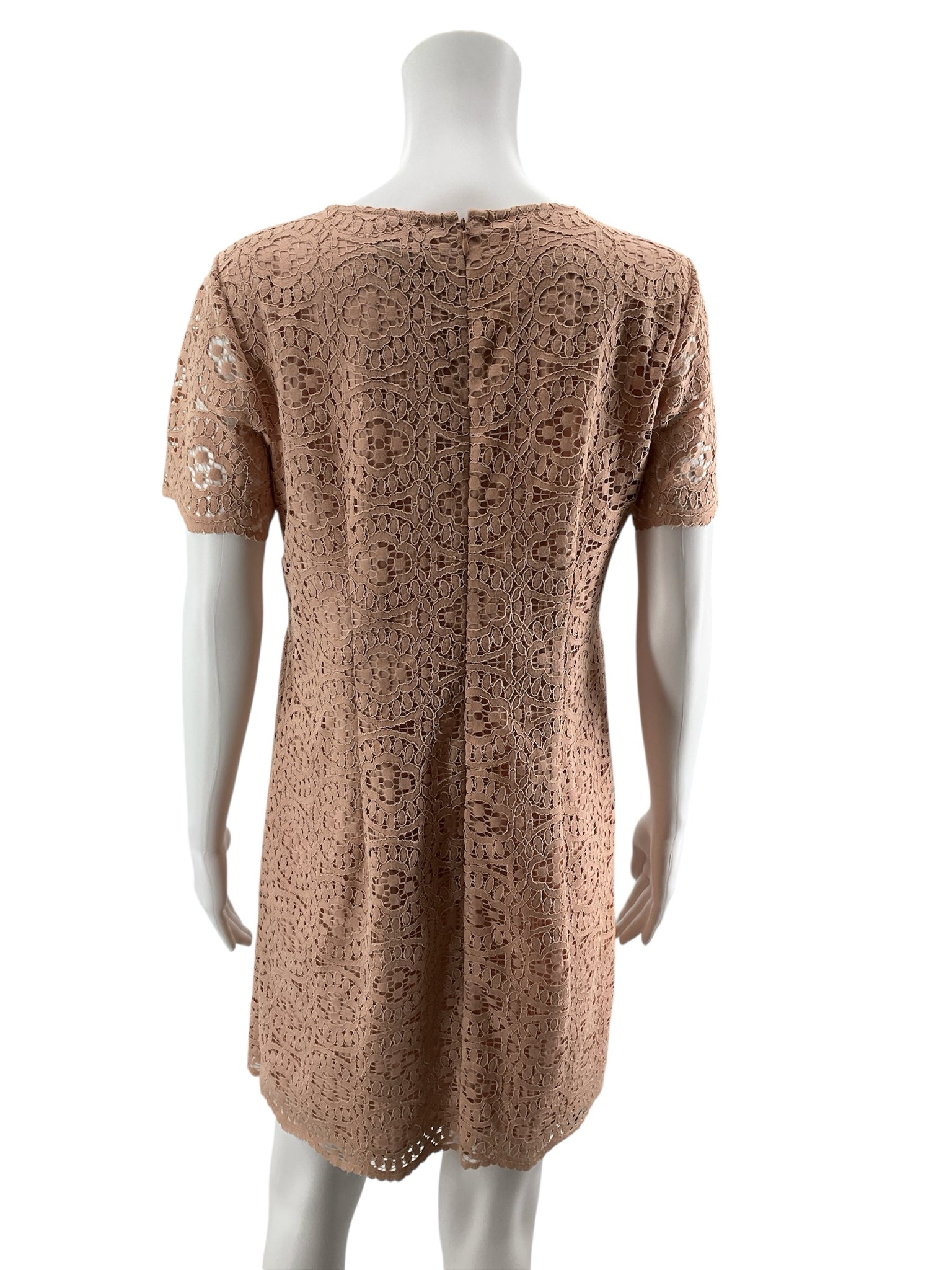 Ann Taylor Salmon Pink Floral Guipure Lace Shift Dress Size 4
