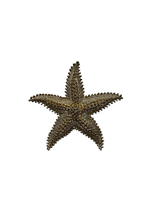 No Brand Gold starfish Brooch