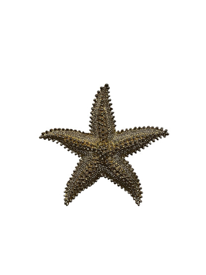 No Brand Gold starfish Brooch