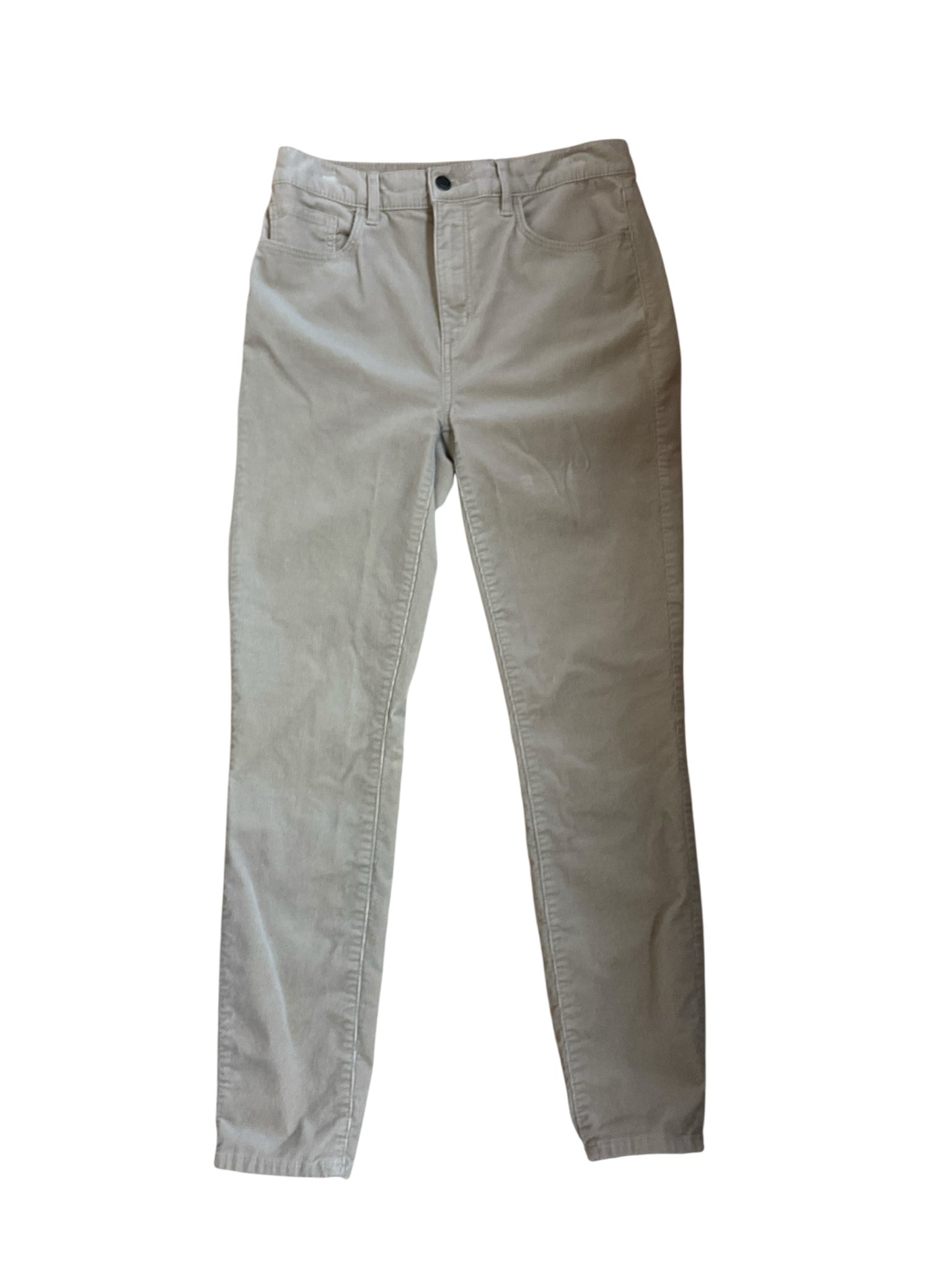 LOFT Women&