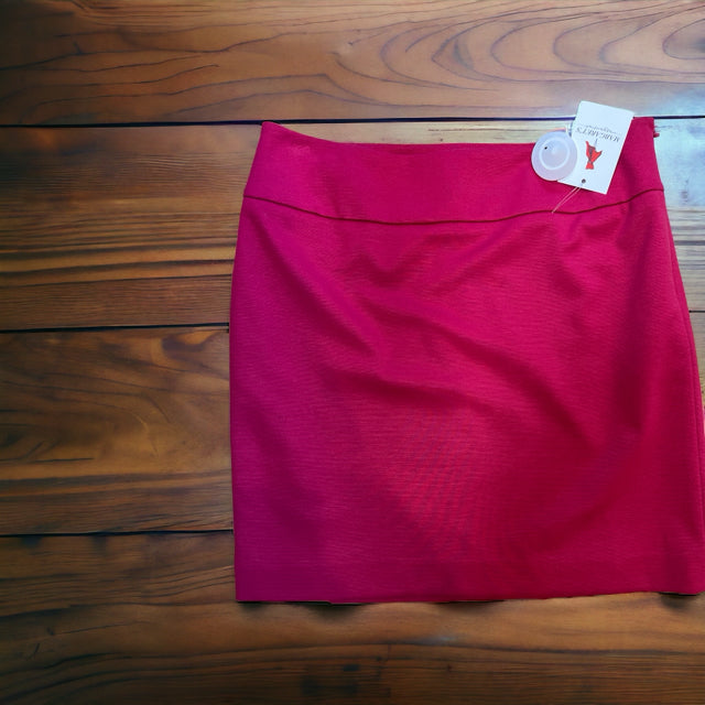 loft Size 6 Pink Skirt